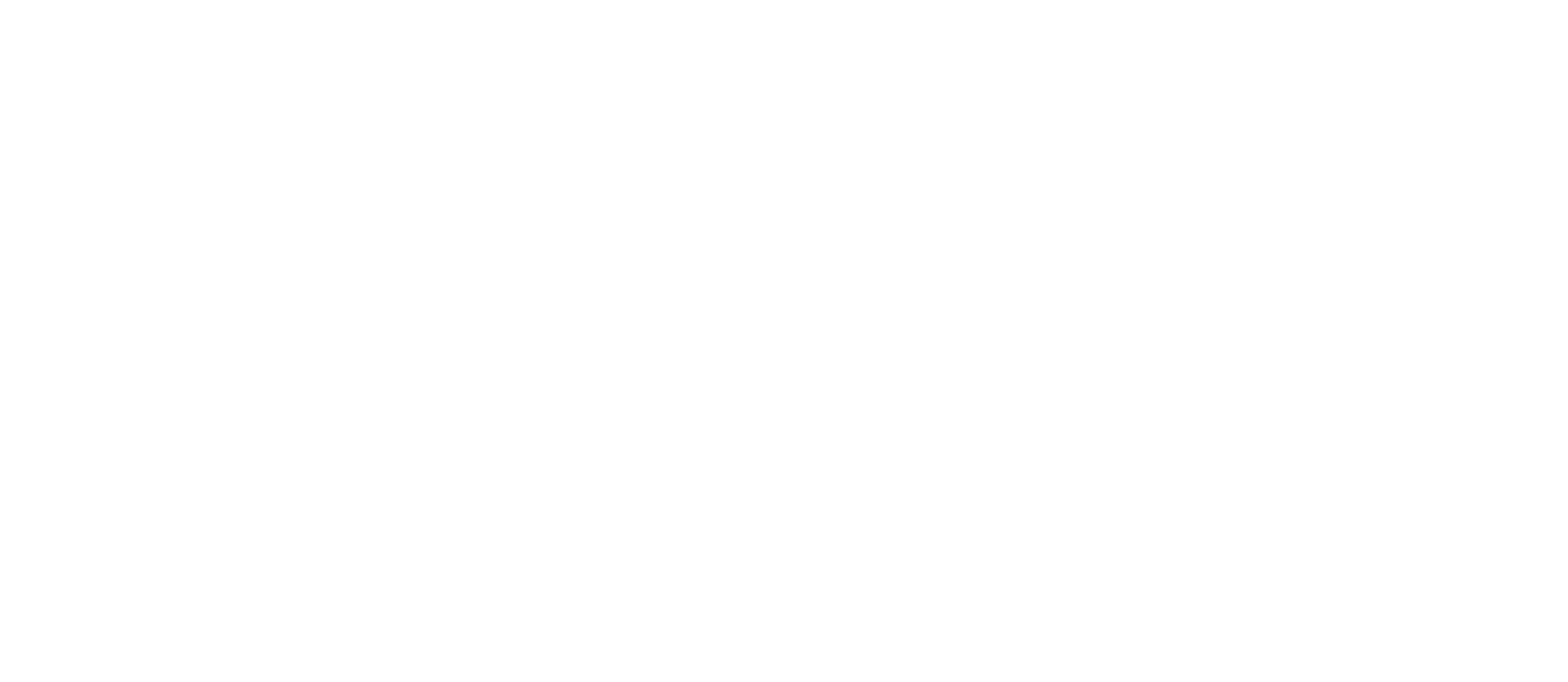 Bellarine Bin Hire