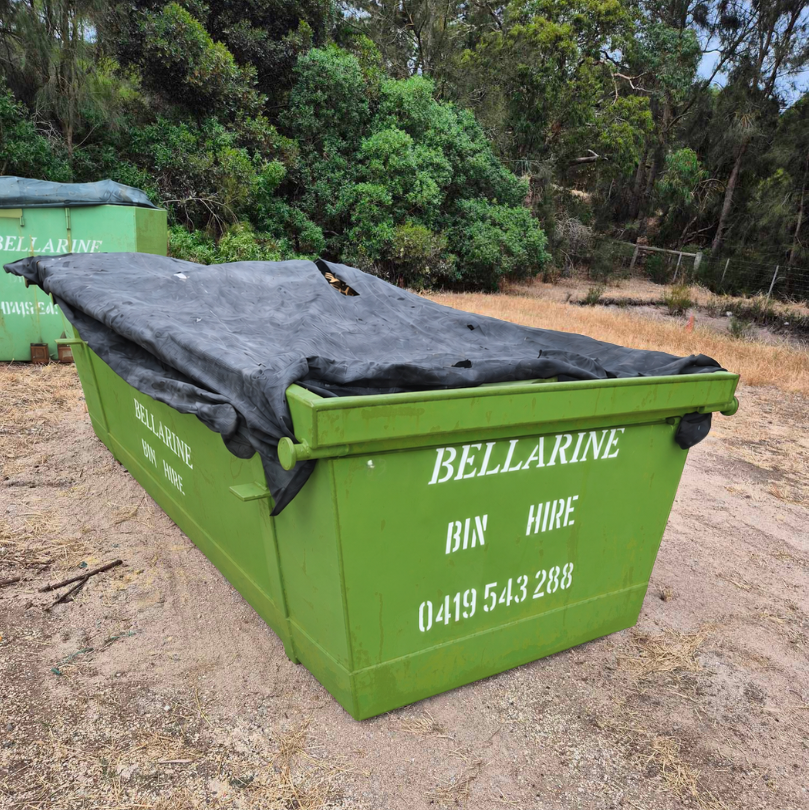 Skip bin hire for builders and construction sites